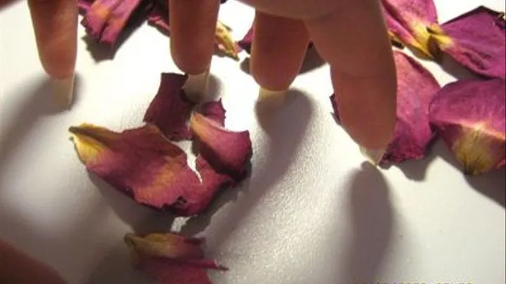 Tapping on the table which is decorated by petals of roses