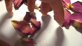 Tapping on the table which is decorated by petals of roses