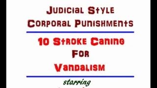 Judicial Style CP - 10 Stroke Caning