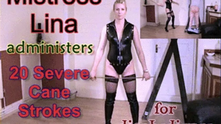 Mistress Lina: 20 Severe Cane Strokes To Slave