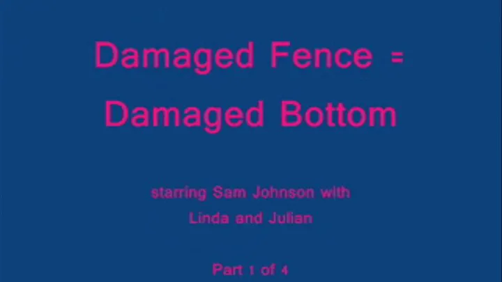 Damaged Fence = Damaged Bottom - Part 1