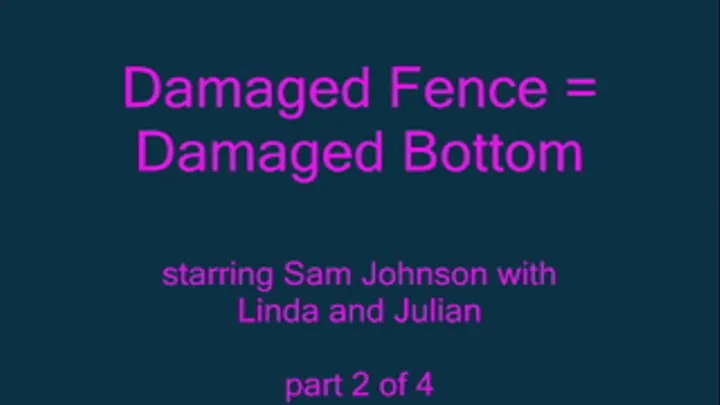 Damaged Fence = Damaged Bottom - Part 2 - (