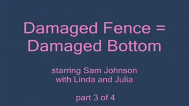 Damaged Fence = Damaged Bottom - Part 3