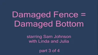 Damaged Fence = Damaged Bottom - Part 3