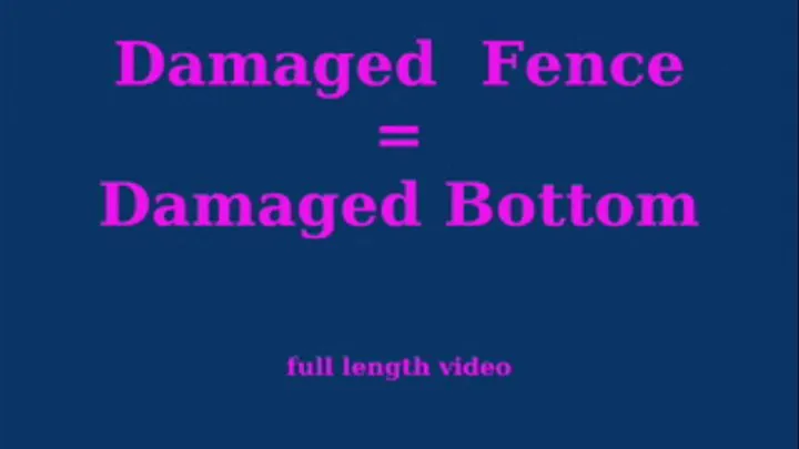 Damaged Fence = Damaged Bottom - FULL