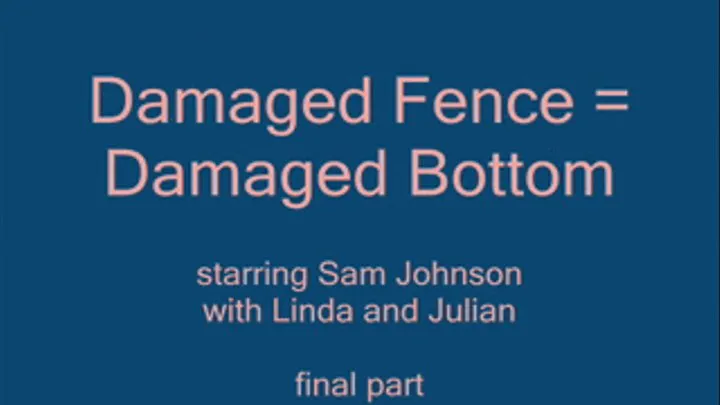 Damaged Fence = Damaged Bottom - Part 4