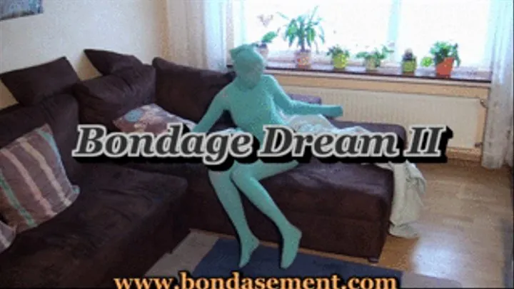 Bondage Dream 2
