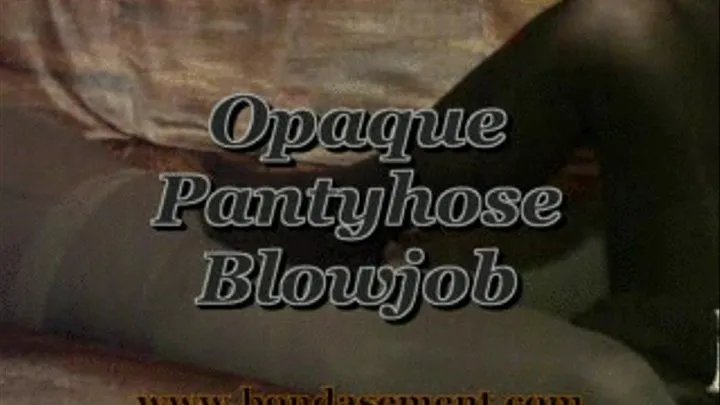 Opaque Pantyhose Blowjob