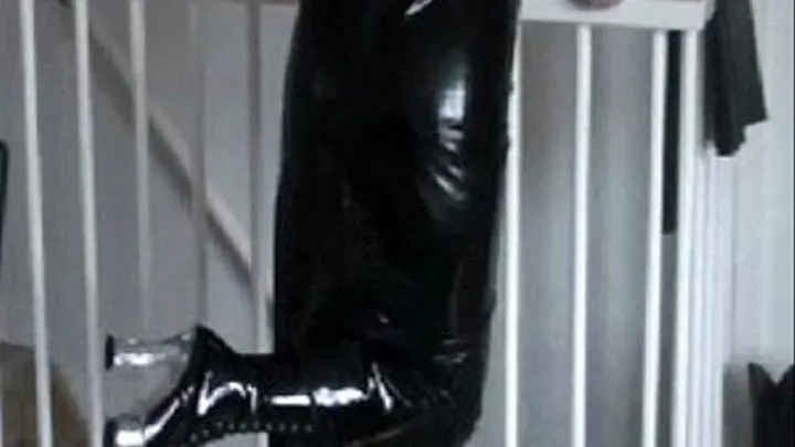 The Mistress' high heels 1