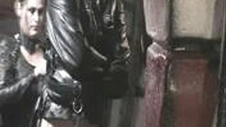 Leather fantasies 2/3