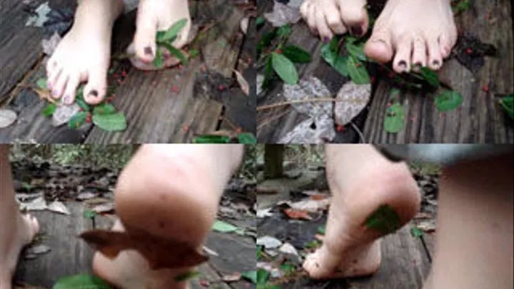 Lyn Crushing Leaves and Berries!