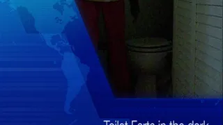 Toilet Farts in the Dark