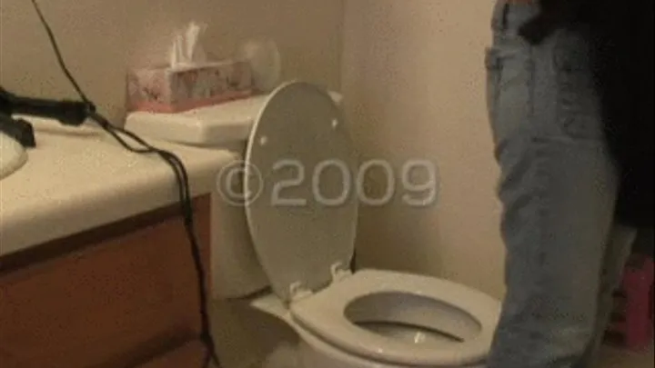 toliet farts 20