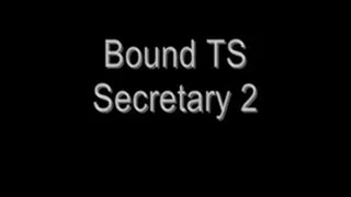 Bound TS Secretary 2