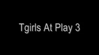T-Girls At Play 3