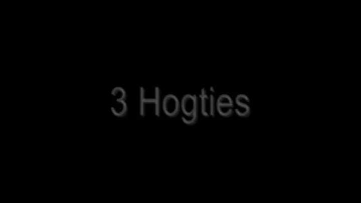 3 Hogties