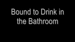 Bound to Drink in the Bathroom