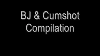 Blowjob & Cumshot Compilation