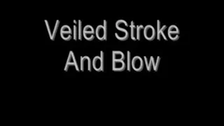 Veiled Stroke And Blow