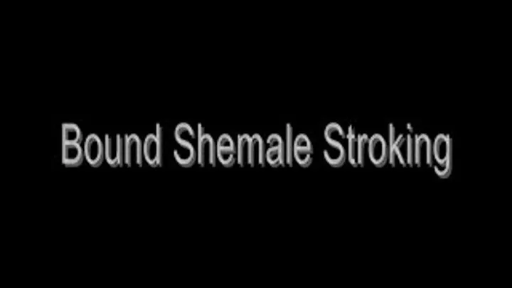 Bound Shemale Stroking