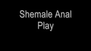Shemale Anal Play