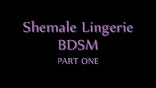Shemale Lingerie BDSM (PART 1)