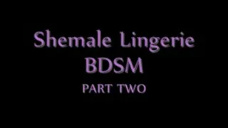 Shemale Lingerie BDSM (PART 2)