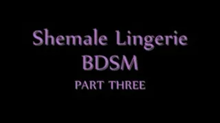 Shemale Lingerie BDSM (PART 3)