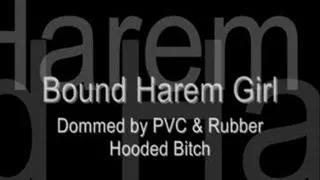 Bound Harem Girl