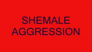 SHEMALE COCK AGGRESSION