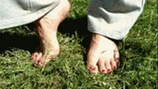 ff- Red Toes Public Bare - 05