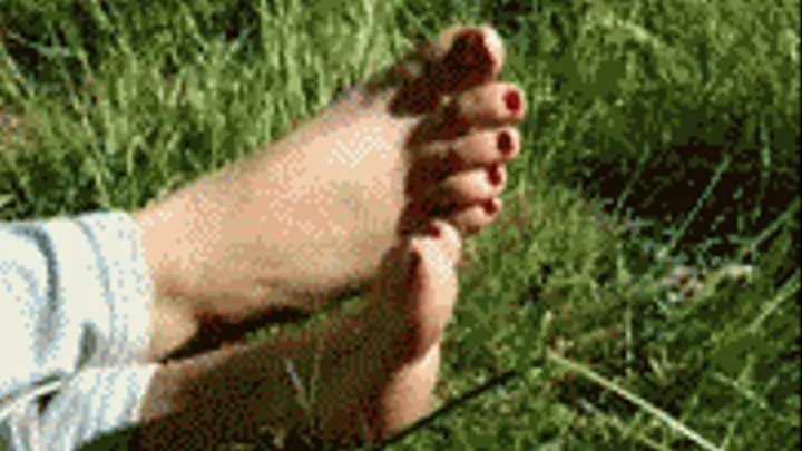 ff- Red Toes Public Bare - 08