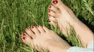 ff- Red Toes Public Bare - FULL