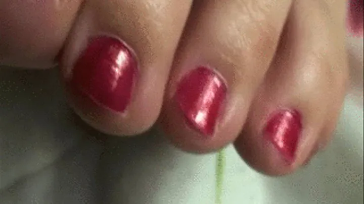 ff - sa - ANNAS RED FOOT NAILS - SD