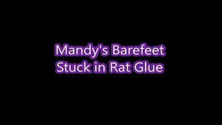 Mandy's Bare feet Stuck in Rat Trap Glue (deep)