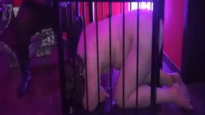 Caged & Fucked