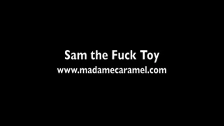 Sam the Fuck Toy