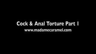 Cock & Anal with TV Domme 01