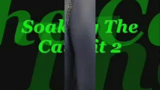 Soaking The Catsuit 2 divx