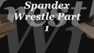 Spandex Wrestle Part1 divx