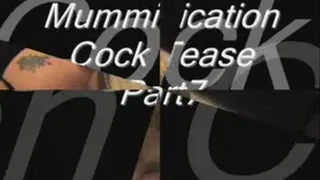 Mummiffication Cock Tease Part 7 divx