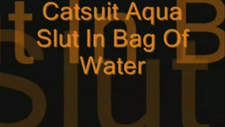 Bag Of Water1