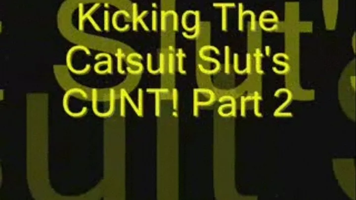 Kicking The Catsuited Slut In The Cunt 2