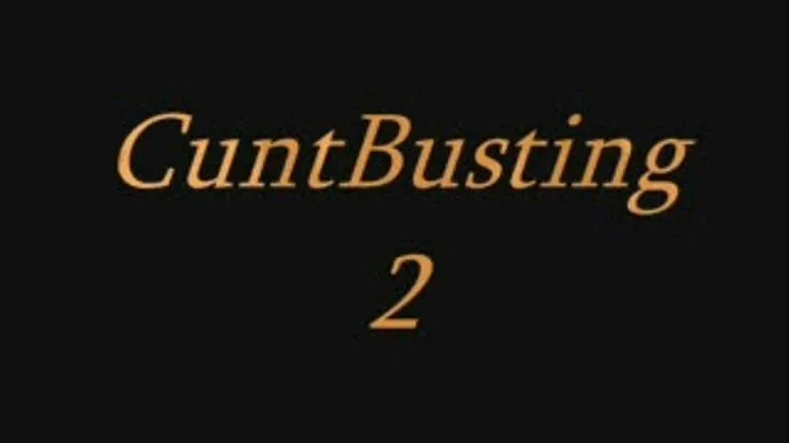 Cunt Busting 2