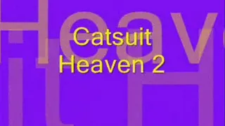 Catsuit heaven 2