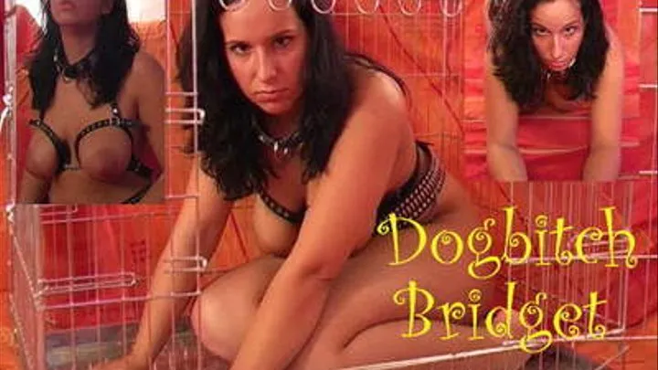 SM-Circus: dogbitch Bridget