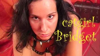 SM-Circus: catgirl Bridget