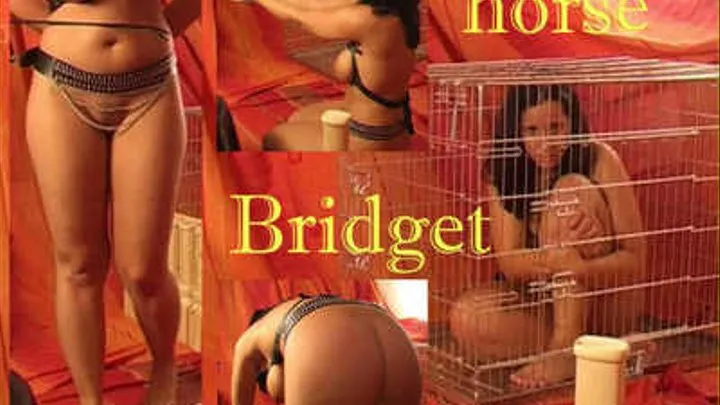 SM-Circus: horse Bridget