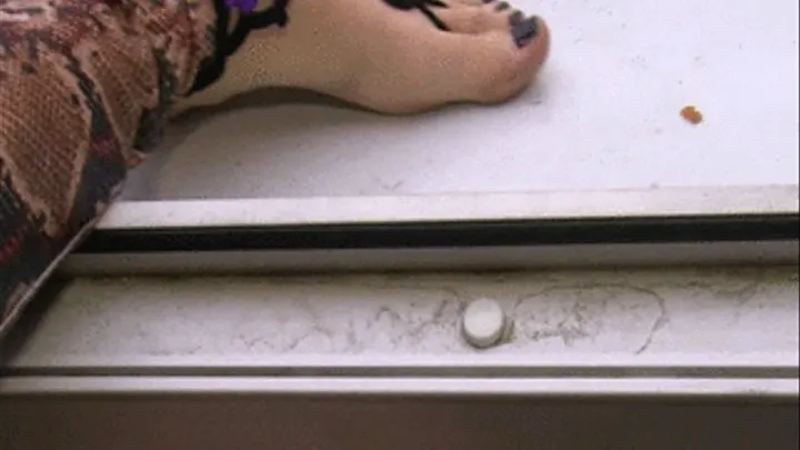 df - n - Lick Dirty Feet Of Cat Woman - A