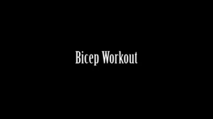 Bicep Workout